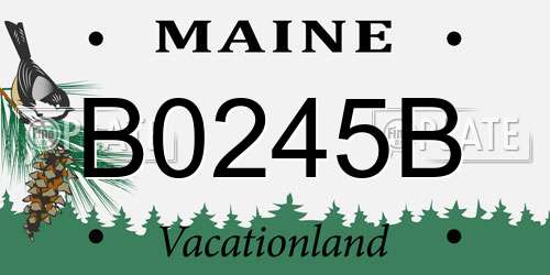 B0245B Maine License Plate