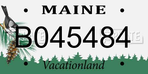 B045484 Maine License Plate