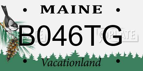 B046TG Maine License Plate