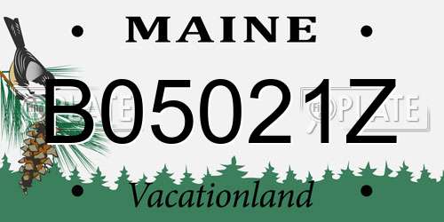 B05021Z Maine License Plate