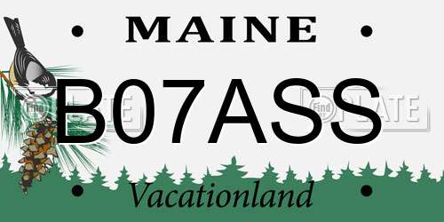 B07ASS Maine License Plate