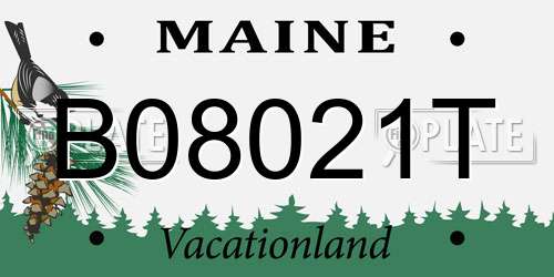 B08021T Maine License Plate