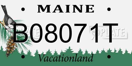 B08071T Maine License Plate