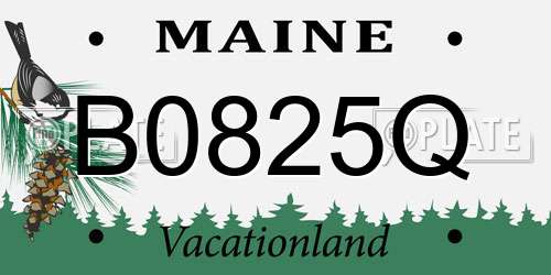 B0825Q Maine License Plate