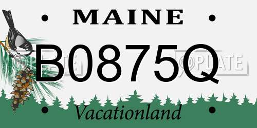 B0875Q Maine License Plate