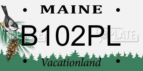 B102PL Maine License Plate