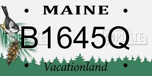 B1645Q Maine License Plate