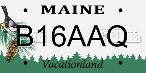 B16AAQ Maine License Plate