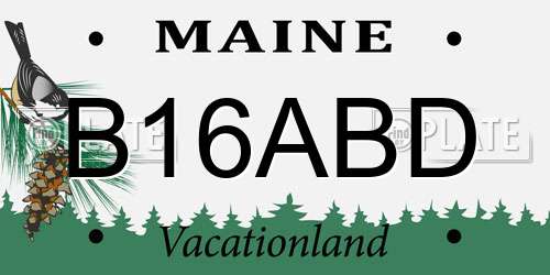 B16ABD Maine License Plate