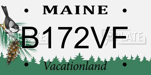 B172VF Maine License Plate