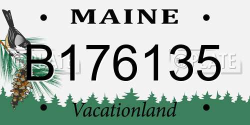 B176135 Maine License Plate
