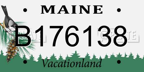 B176138 Maine License Plate