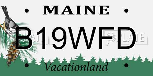B19WFD Maine License Plate