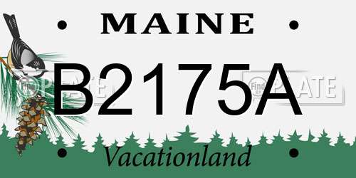 B2175A Maine License Plate