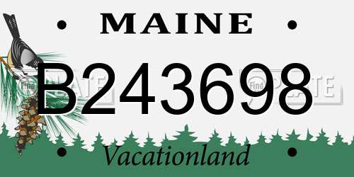 B243698 Maine License Plate