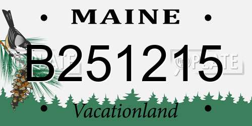 B251215 Maine License Plate