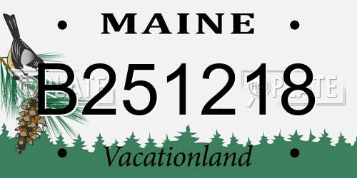 B251218 Maine License Plate
