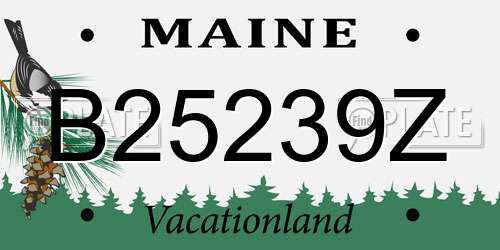 B25239Z Maine License Plate