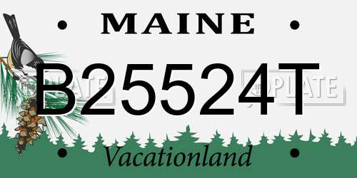 B25524T Maine License Plate