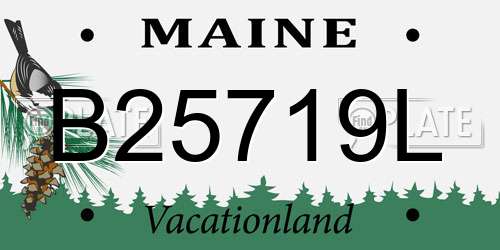 B25719L Maine License Plate