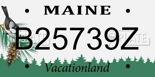 B25739Z Maine License Plate