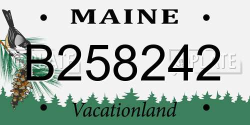 B258242 Maine License Plate