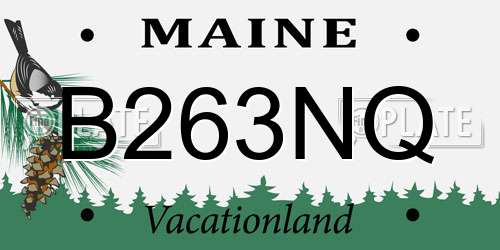 B263NQ Maine License Plate