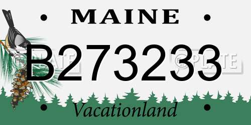 B273233 Maine License Plate
