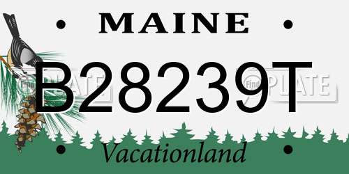B28239T Maine License Plate