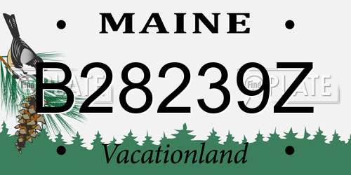 B28239Z Maine License Plate