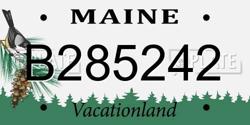 B285242 Maine License Plate