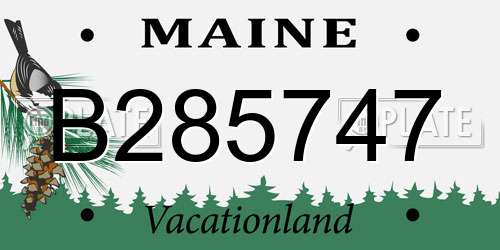 B285747 Maine License Plate