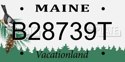 B28739T Maine License Plate
