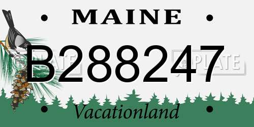 B288247 Maine License Plate