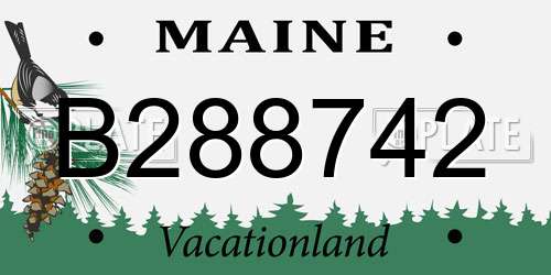 B288742 Maine License Plate