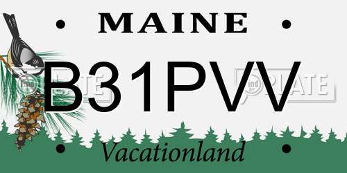 B31PVV Maine License Plate