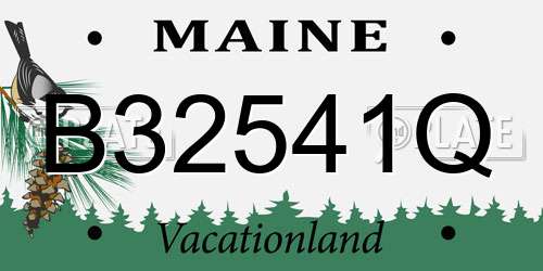 B32541Q Maine License Plate