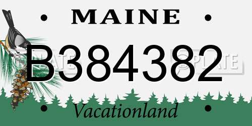 B384382 Maine License Plate