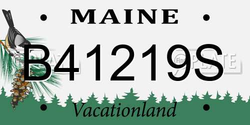 B41219S Maine License Plate
