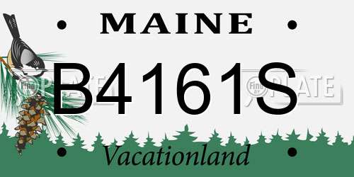 B4161S Maine License Plate