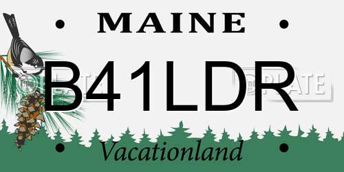 B41LDR Maine License Plate