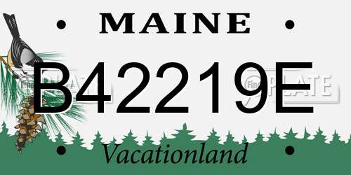 B42219E Maine License Plate