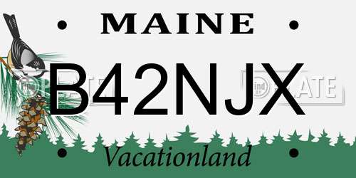B42NJX Maine License Plate