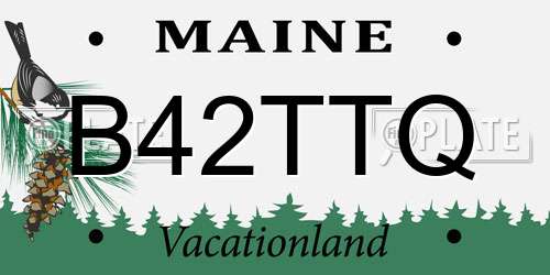 B42TTQ Maine License Plate