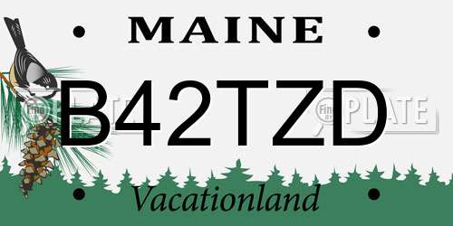 B42TZD Maine License Plate