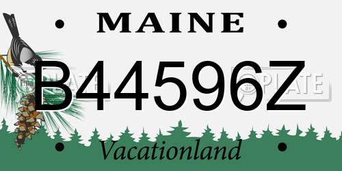 B44596Z Maine License Plate