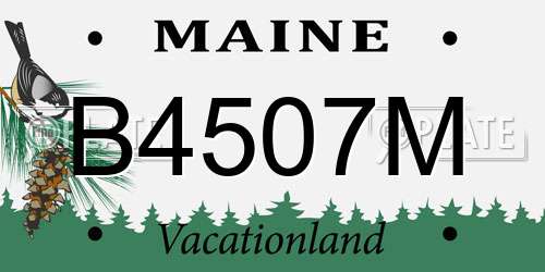 B4507M Maine License Plate