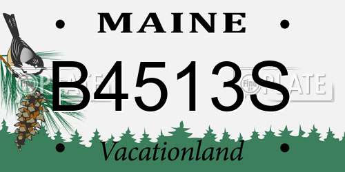 B4513S Maine License Plate