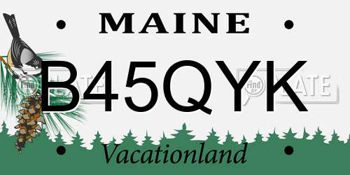 B45QYK Maine License Plate