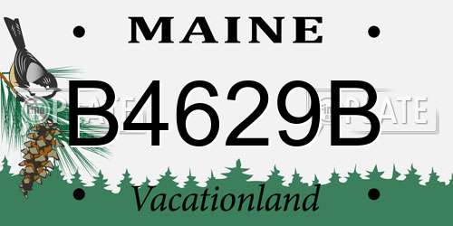B4629B Maine License Plate